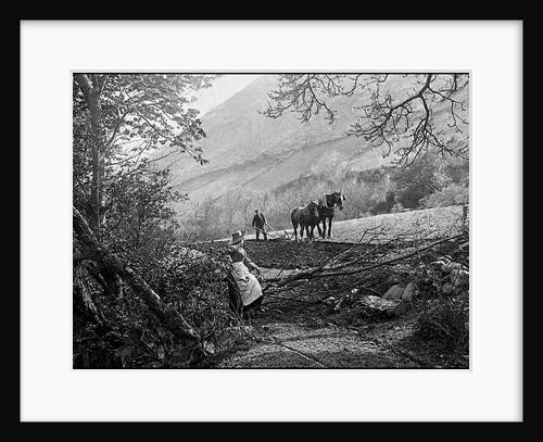 Ploughing in Sulby Glen, Isle of Man by George Bellett Cowen